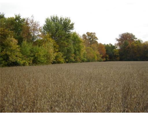 70 Acres On Limrick Road Springfield, OH 45502 - Photo 5 of 7