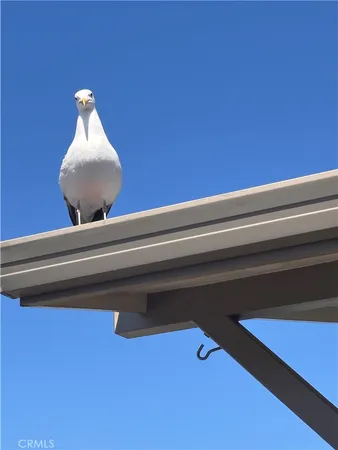 $950,000 | 1154 Santa Ysabel Avenue, Los Osos, CA 93402