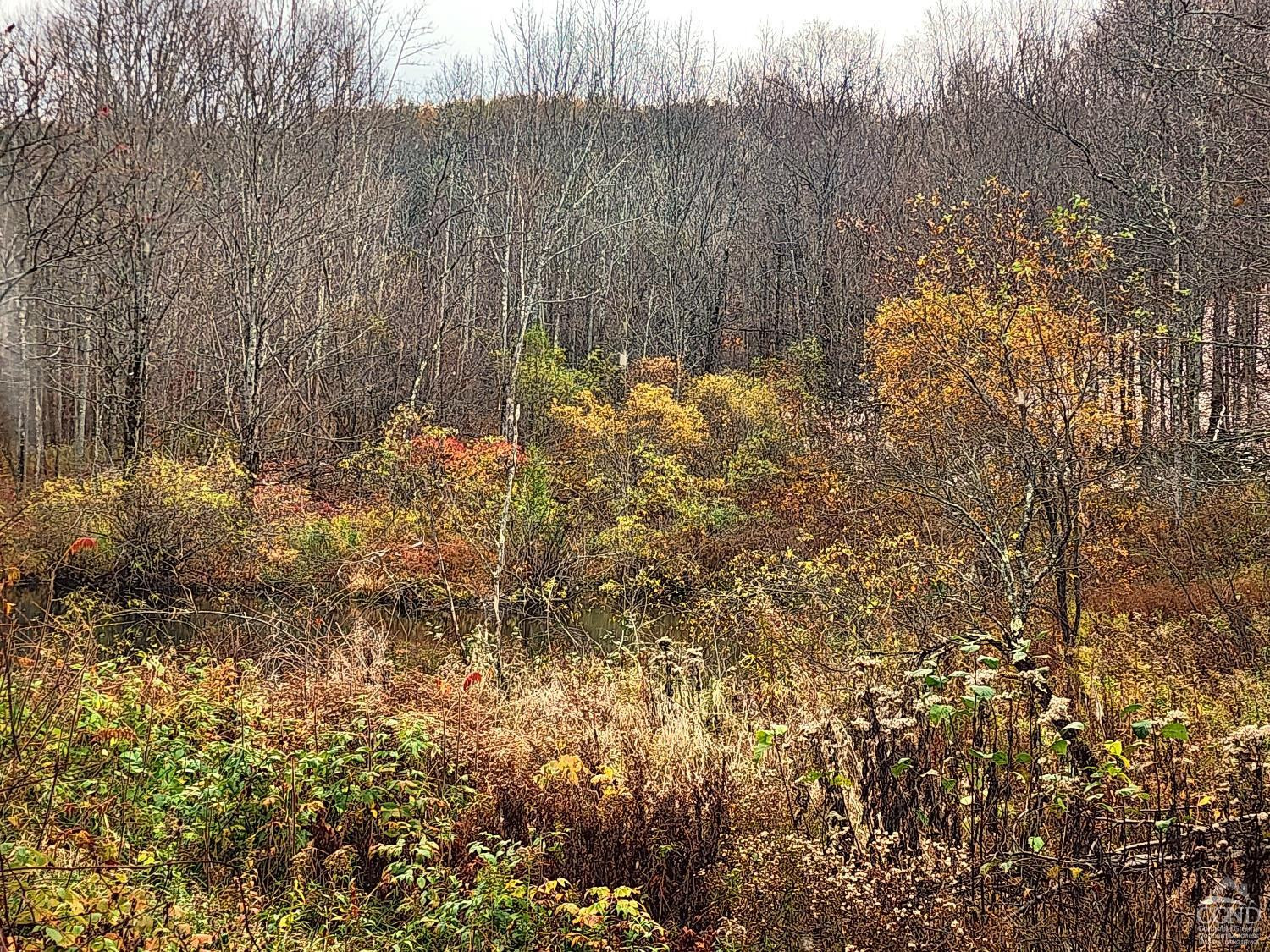 172 Mace Hill Road Middleburgh, NY 12122 - Photo 10 of 15 Photo 4