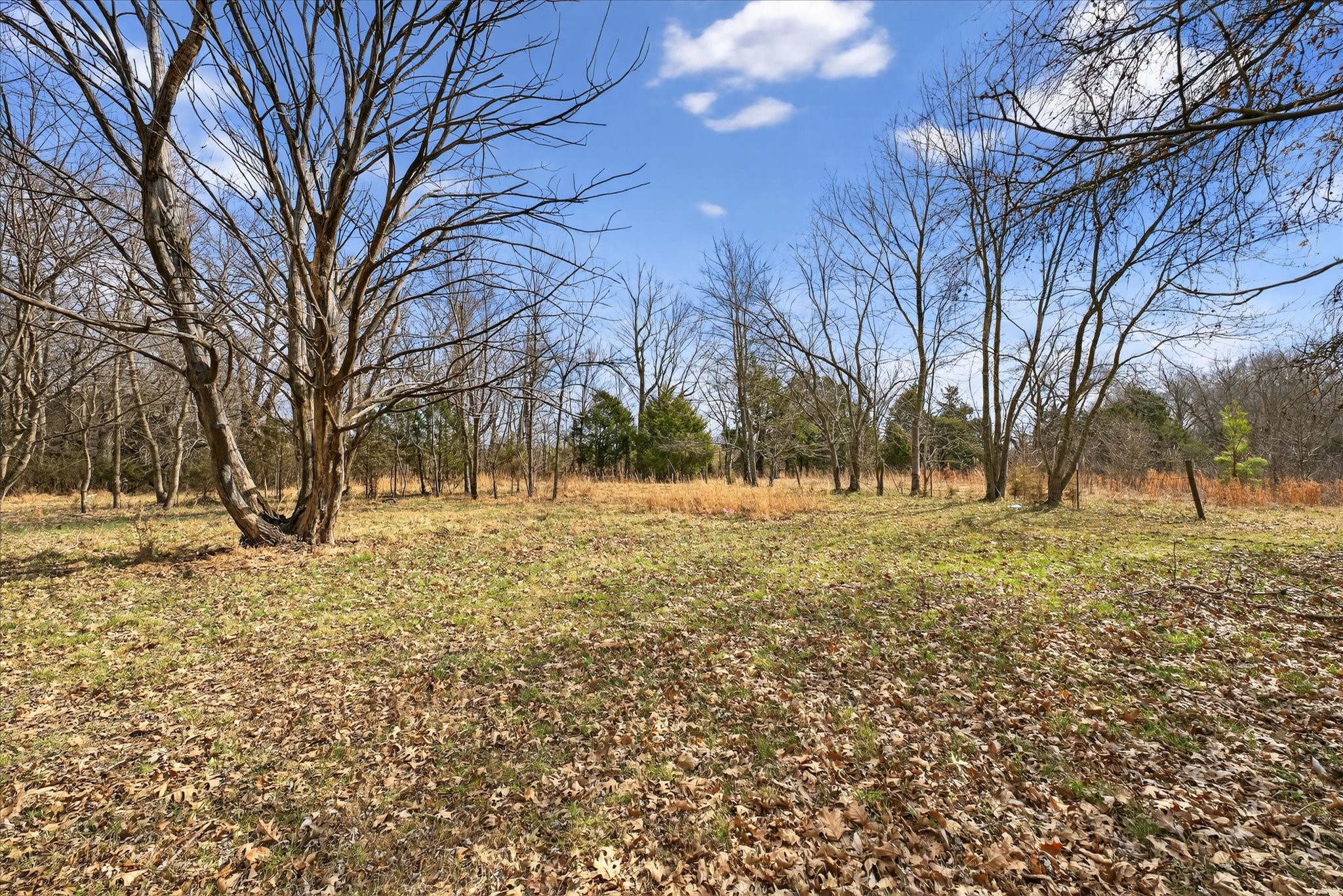 3236 Dover Road Woodlawn, TN 37191 - Photo 24 of 38 a view of snow covered with snow