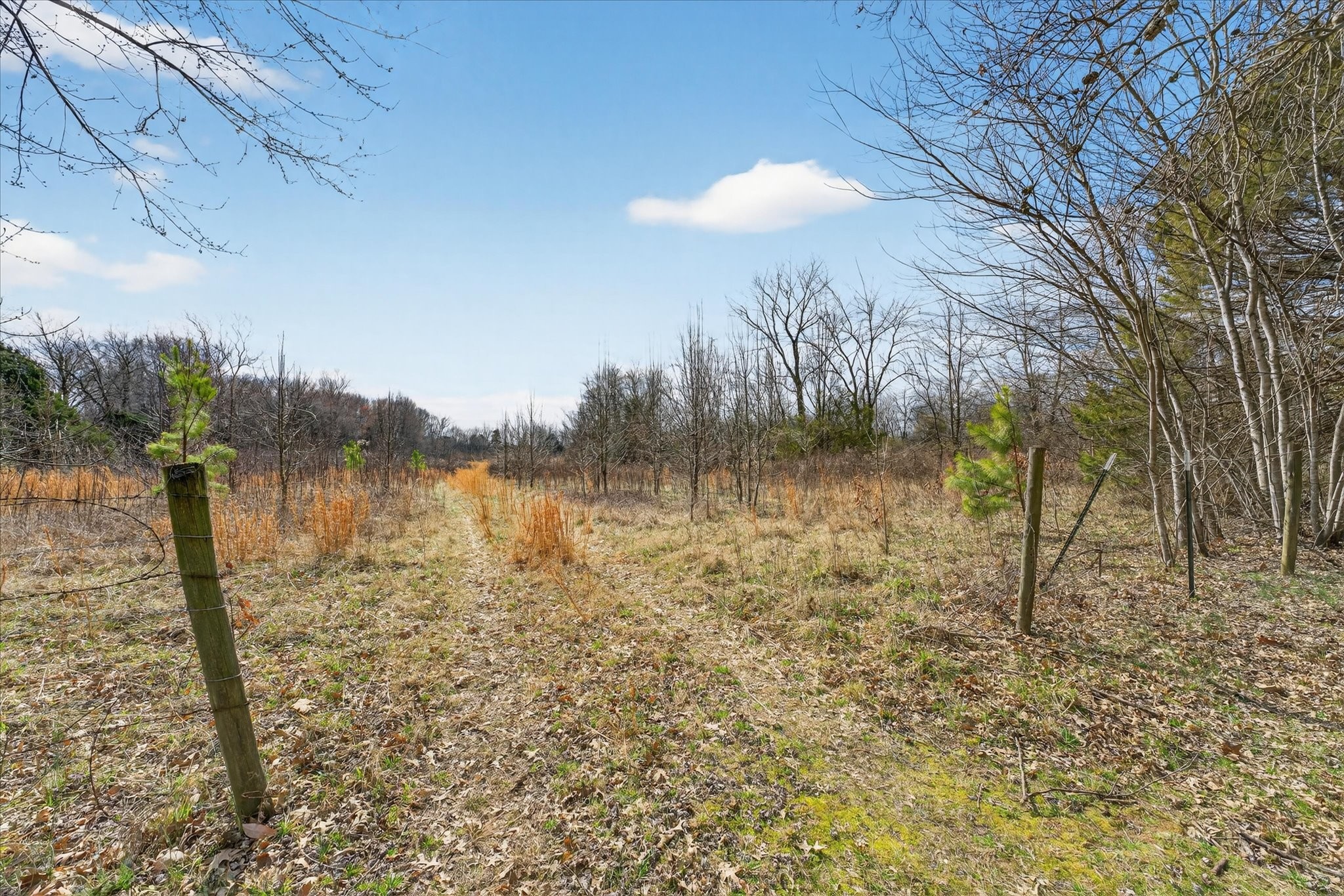 3236 Dover Road Woodlawn, TN 37191 - Photo 26 of 38 a view of lake with trees