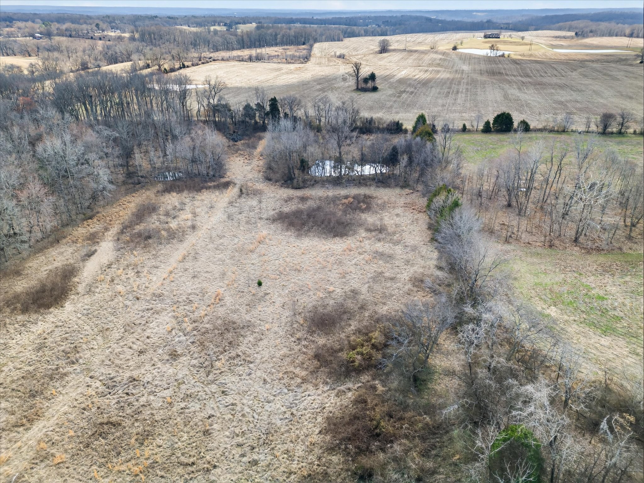 3236 Dover Road Woodlawn, TN 37191 - Photo 34 of 38 a view of a lake view