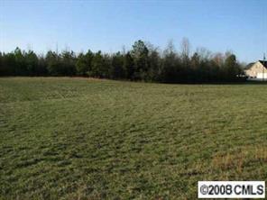 0 Cameron Road Wadesboro, NC 28170 - Photo 5 of 8 a view of a field with trees in the background