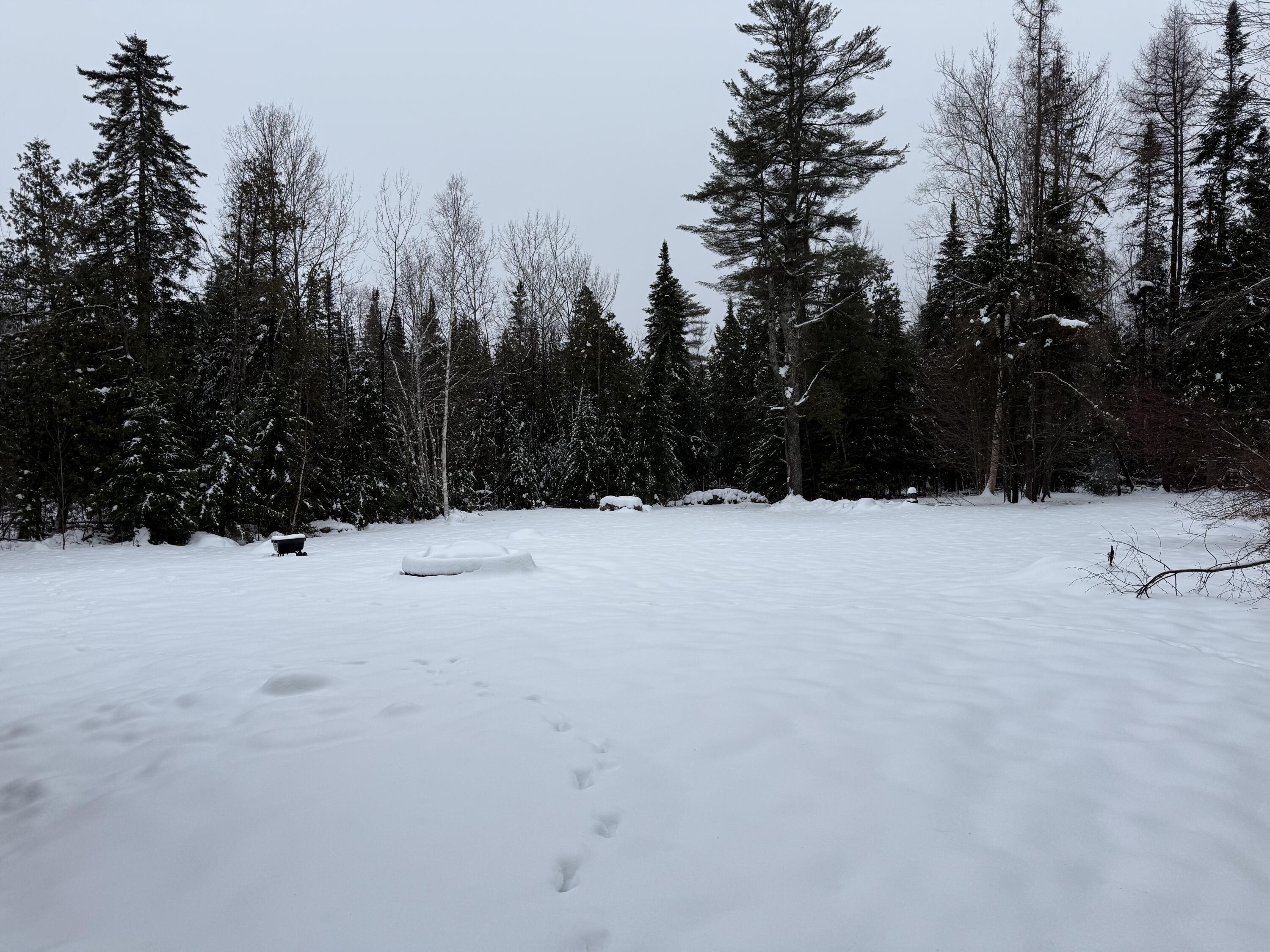 118 Avenue Road Levant, ME 04456 - Photo 61 of 72 IMG_4216