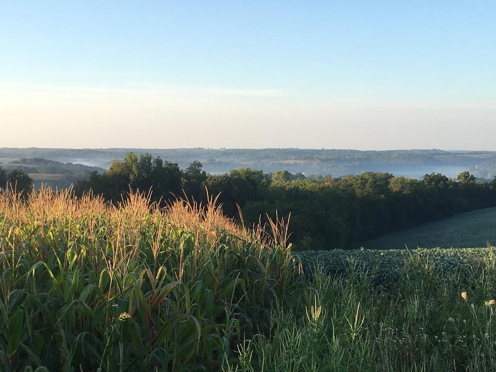 9401 Kahl Road Black Earth, WI 53515 - Photo 5 of 74