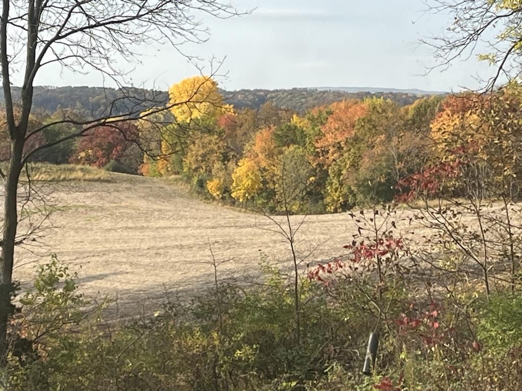 9401 Kahl Road Black Earth, WI 53515 - Photo 6 of 74