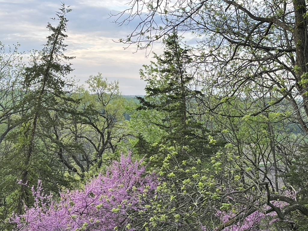 9401 Kahl Road Black Earth, WI 53515 - Photo 7 of 74