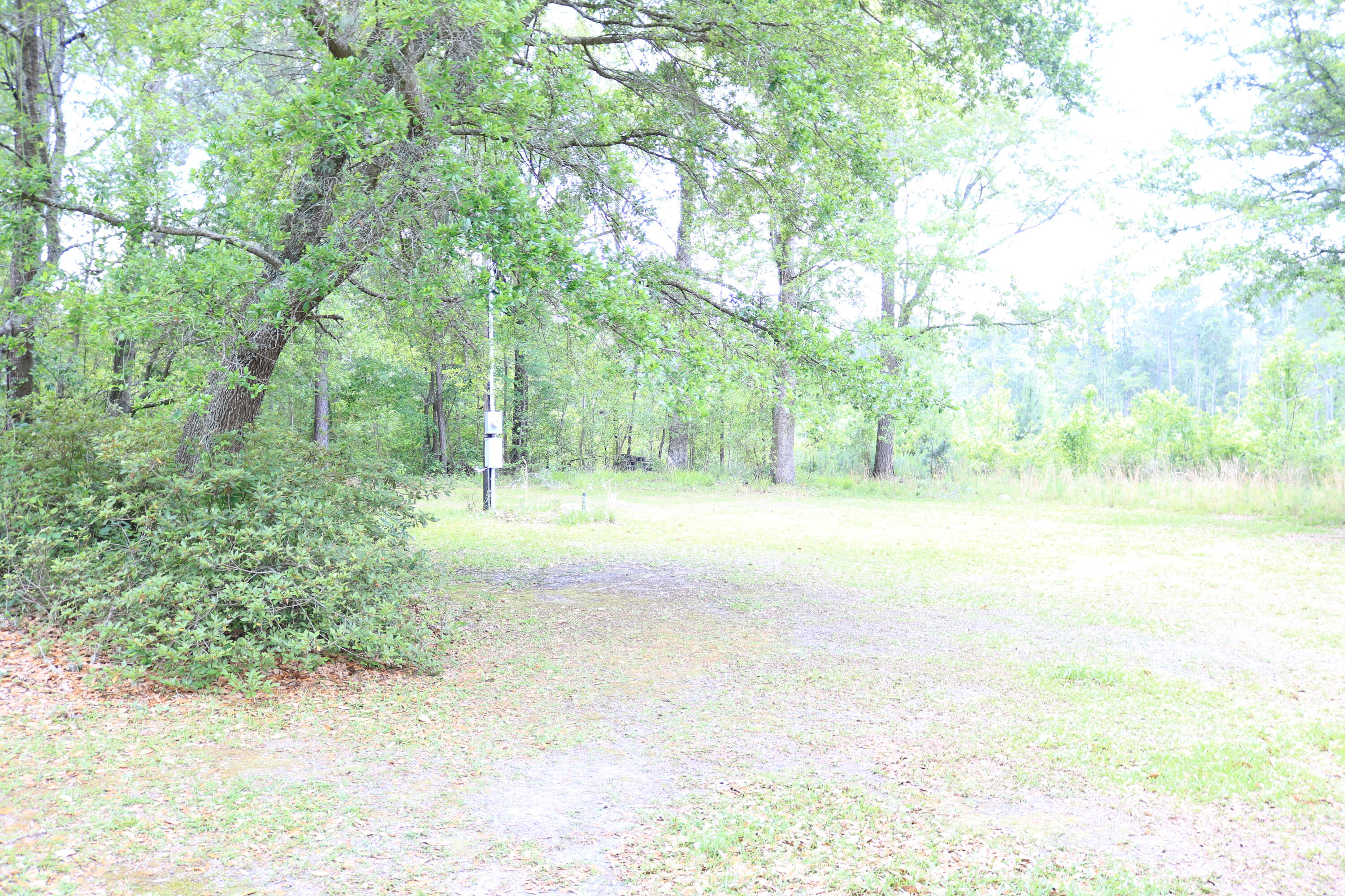 2557 Azalea Patch Road Ruffin, SC 29475 - Photo 54 of 55 IMG_8970