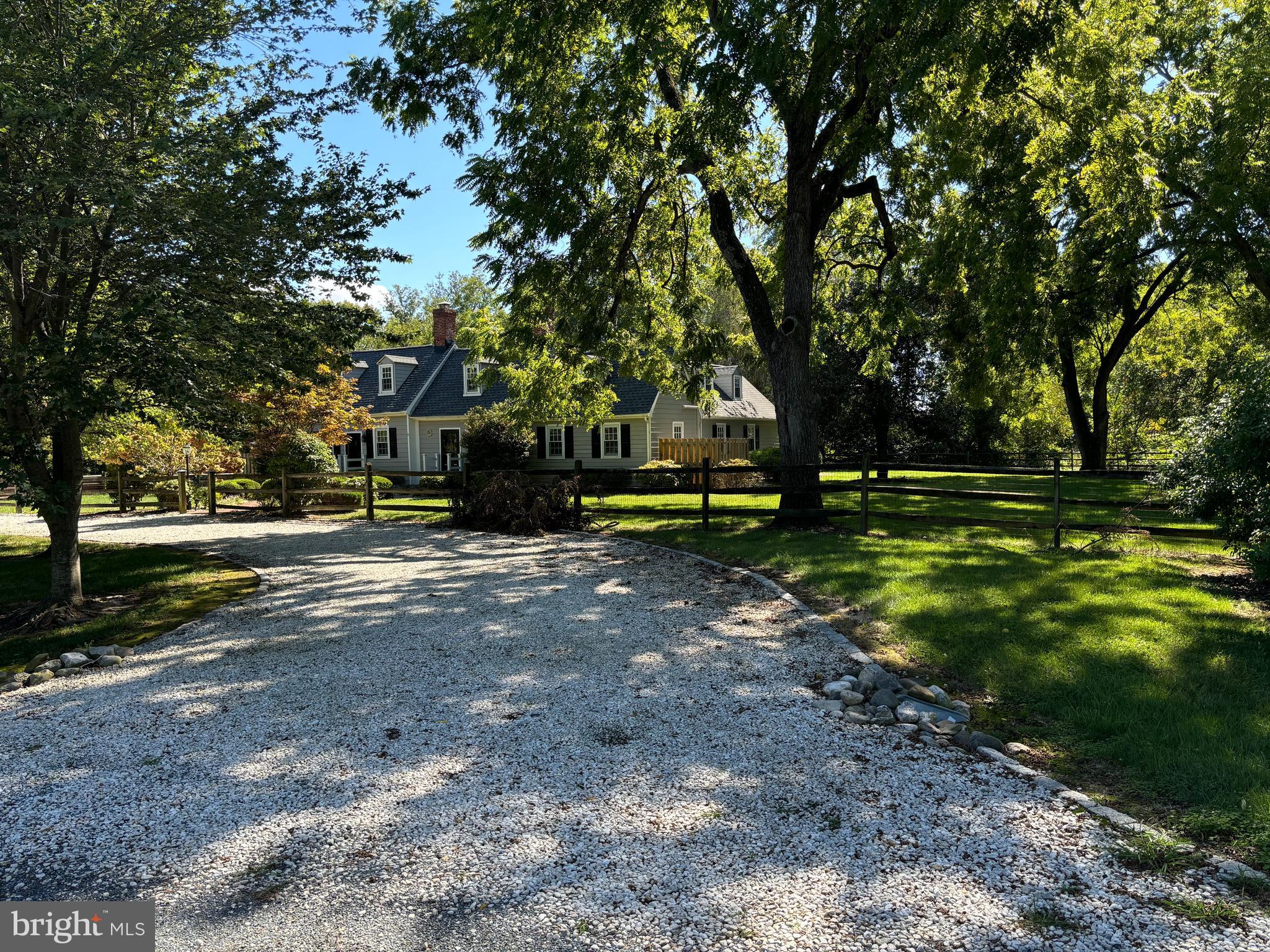 10230 John Carvill Road Chestertown, MD 21620 - Photo 3 of 41 a view of a park with large trees