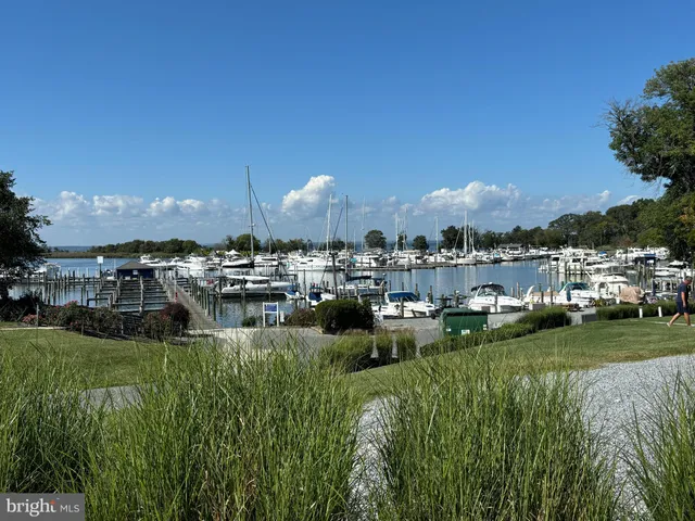 a view of a lake with houses
