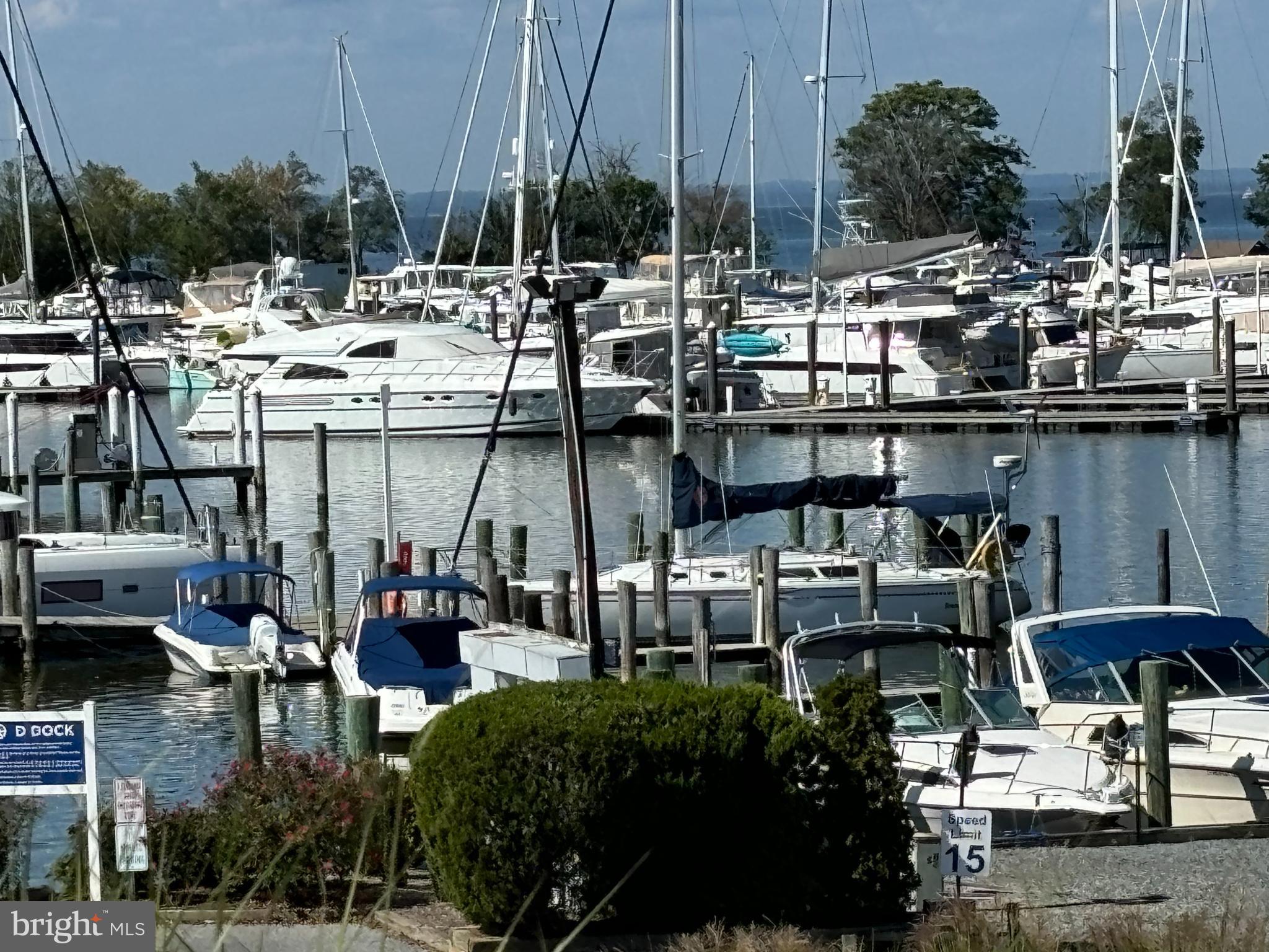 10230 John Carvill Road Chestertown, MD 21620 - Photo 39 of 41 a view of yard with outdoor seating and city view
