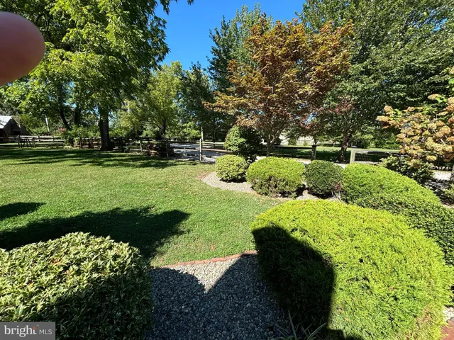 a view of an outdoor space