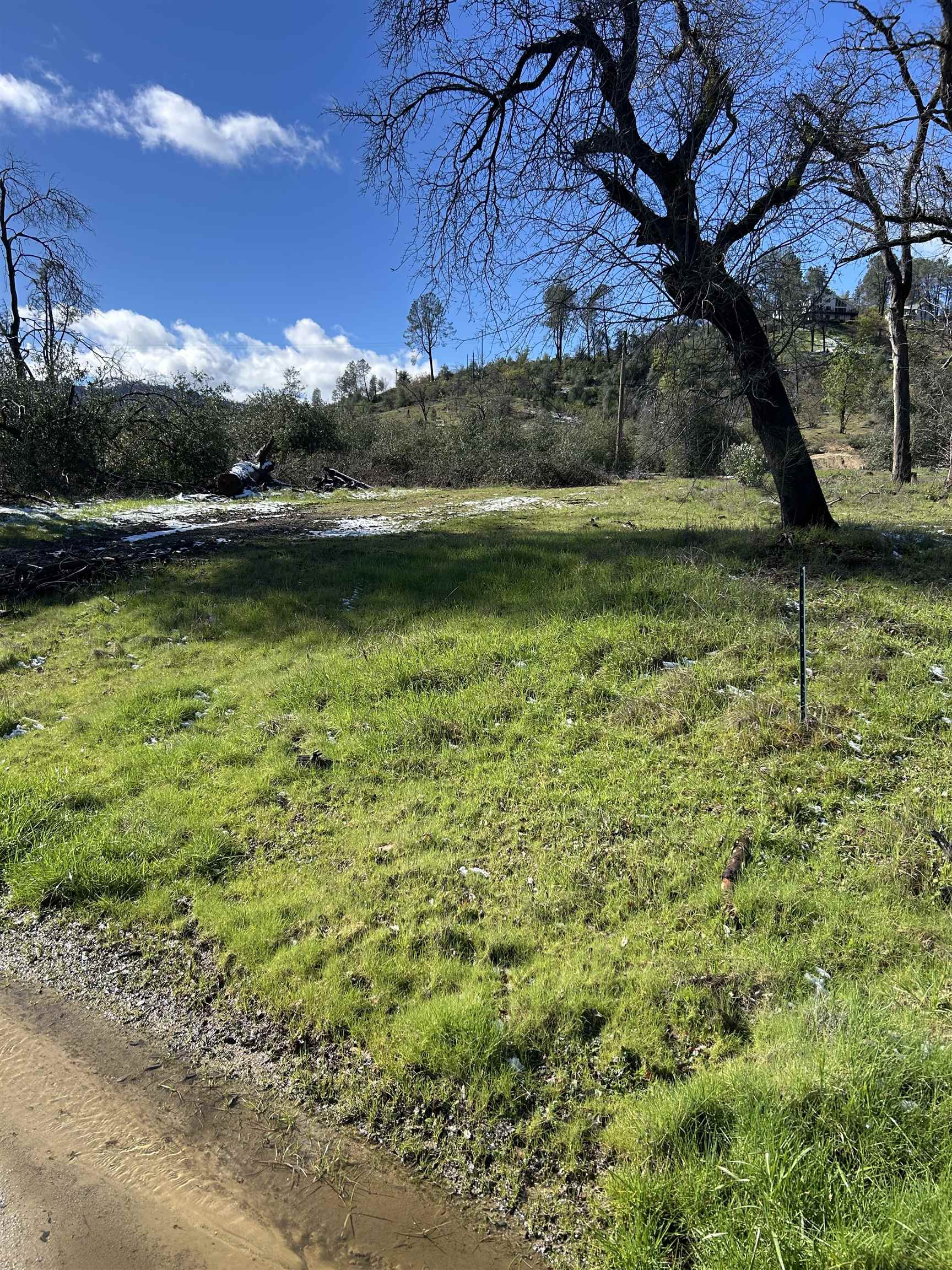 10266 White Star Road Redding, CA 96001 - Photo 6 of 11