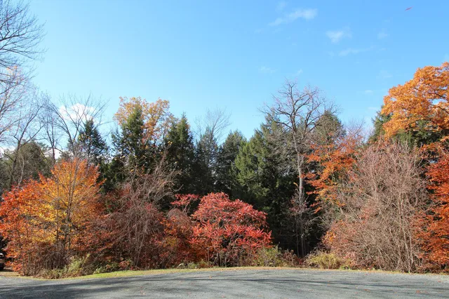 $595,000 | 219 Wildlife Road, Hartford, VT 05001