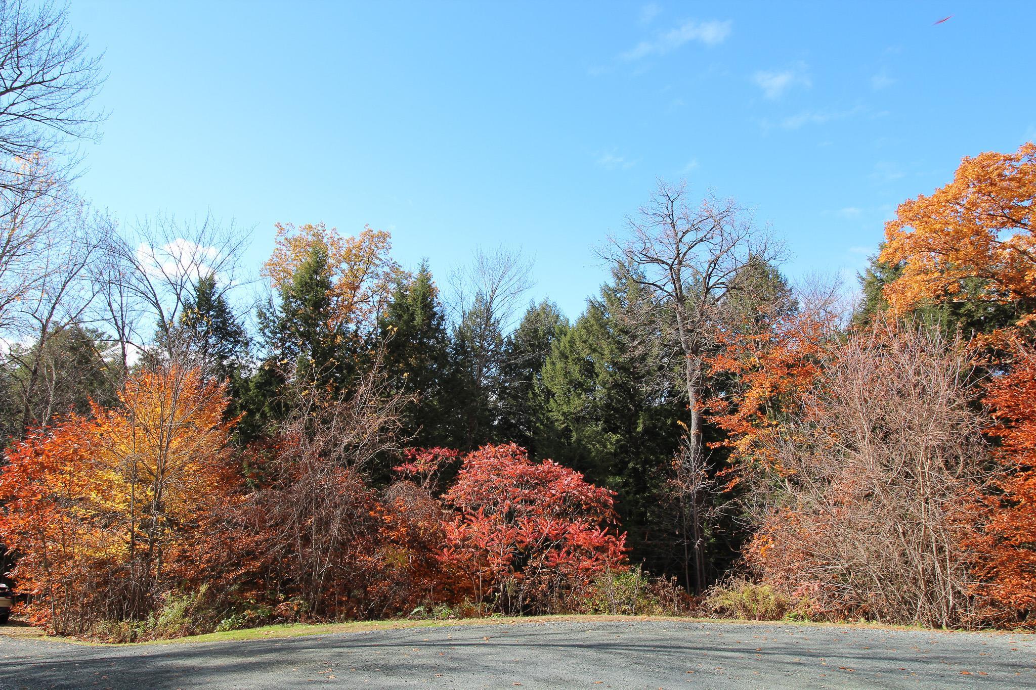 219 Wildlife Road Hartford, VT 05001 - Photo 35 of 36