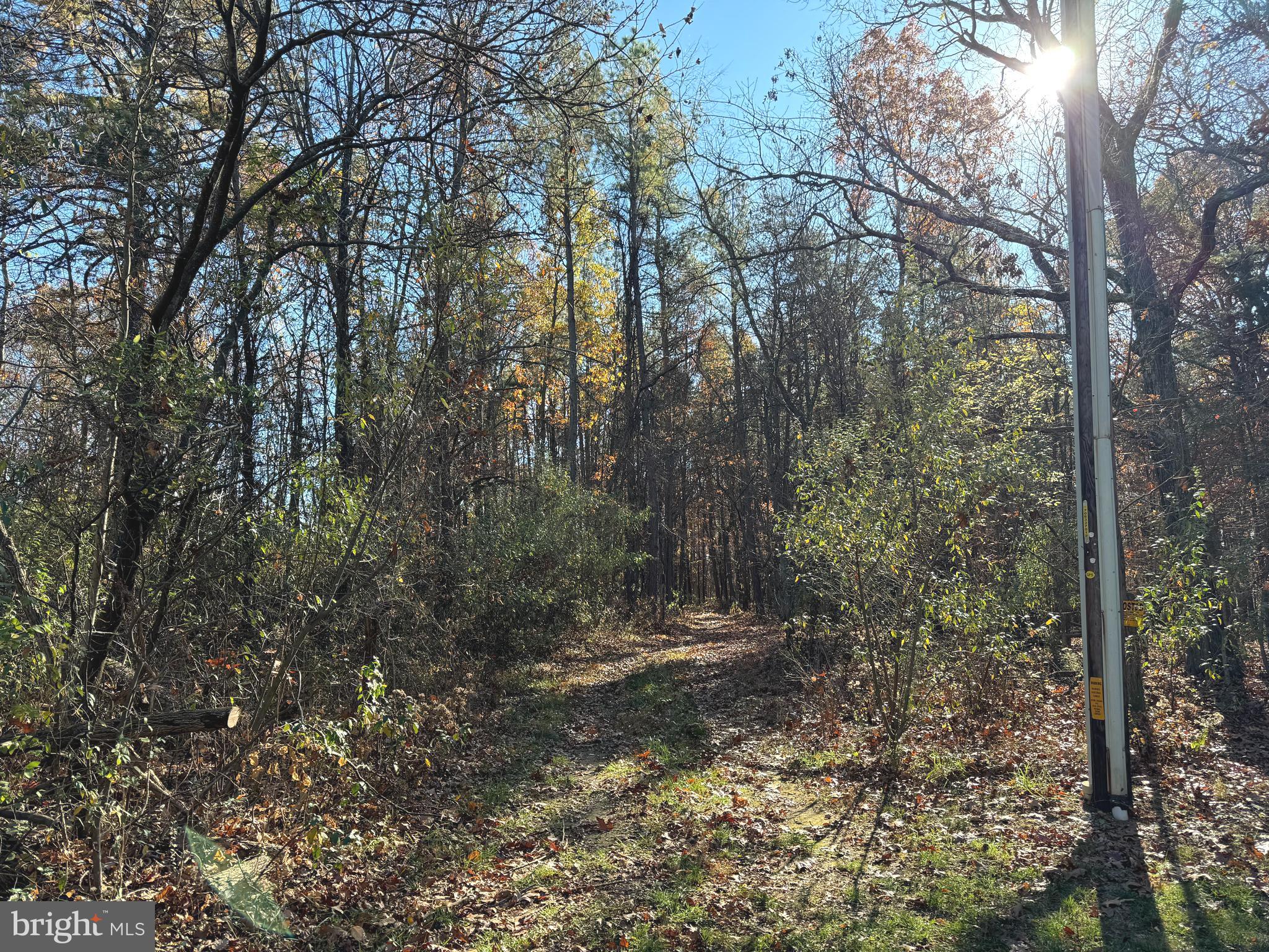 Lot 1 Fishel Road Winchester, VA 22602 - Photo 2 of 8