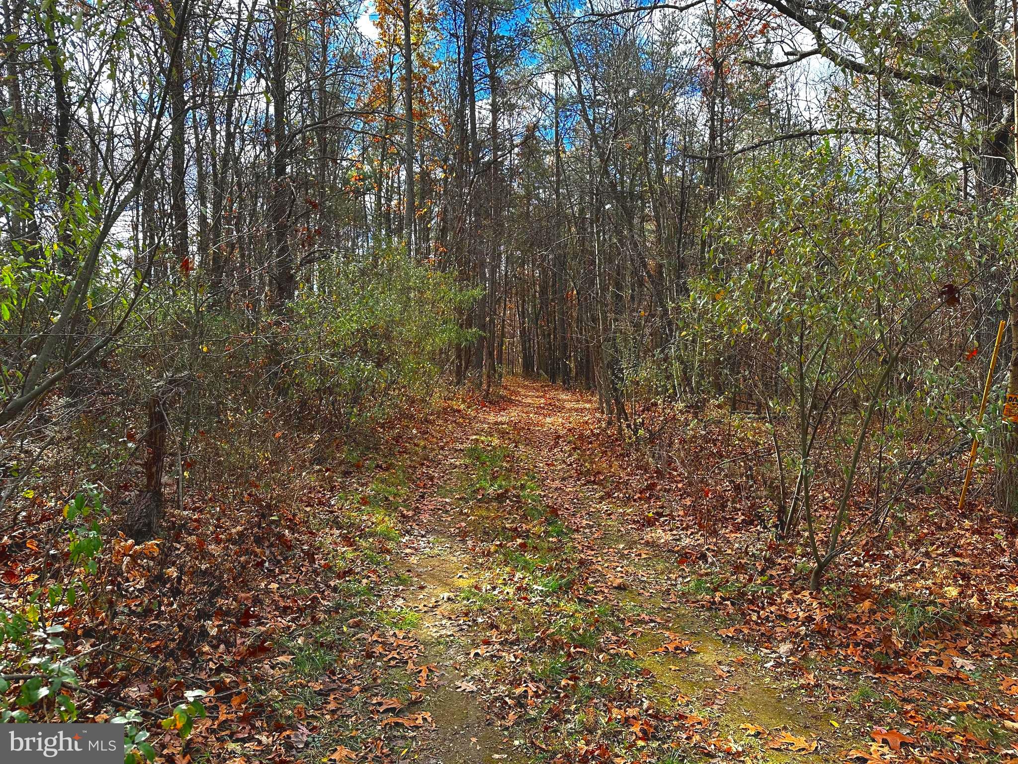 Lot 1 Fishel Road Winchester, VA 22602 - Photo 4 of 8