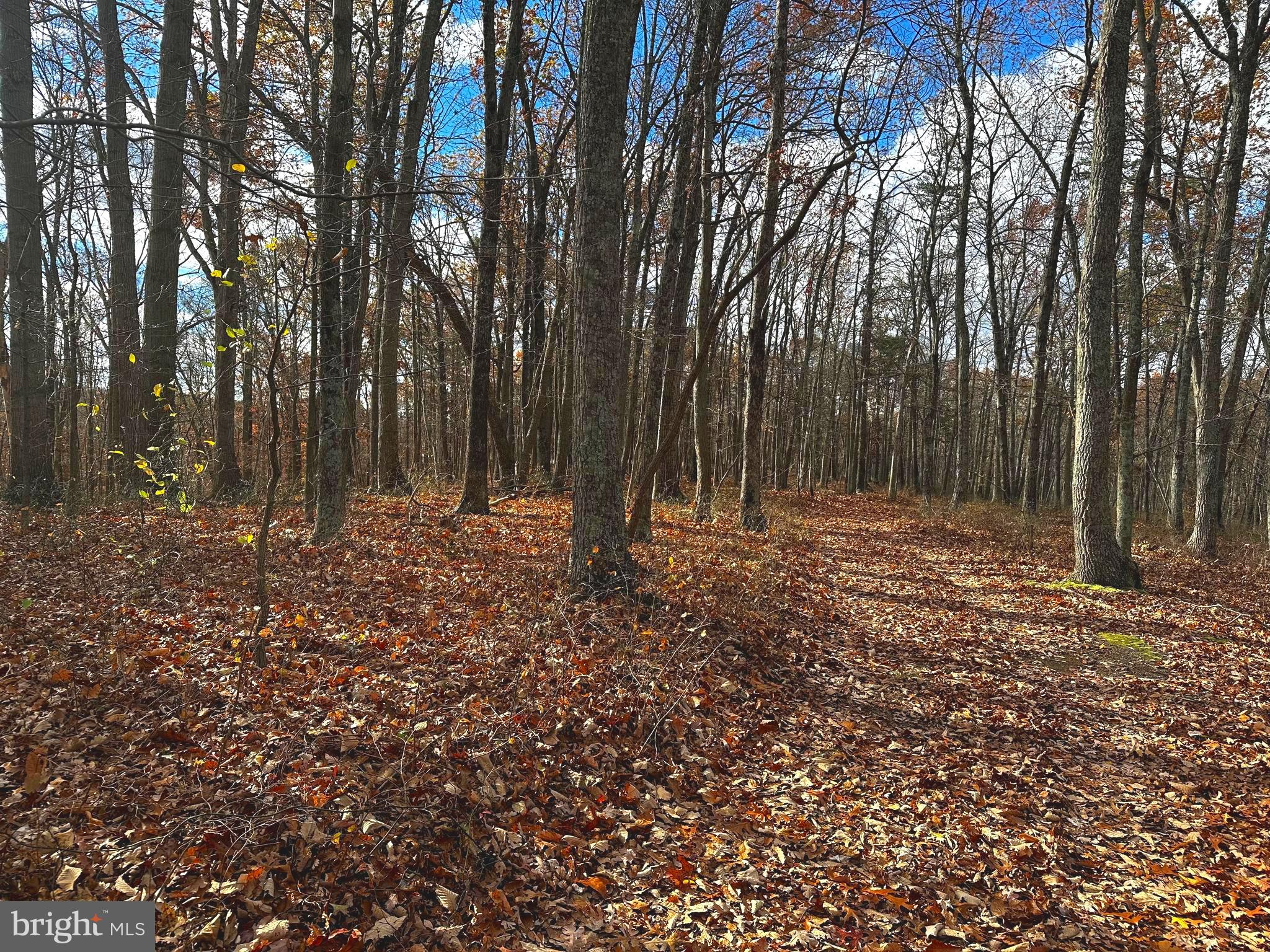 Lot 1 Fishel Road Winchester, VA 22602 - Photo 5 of 8