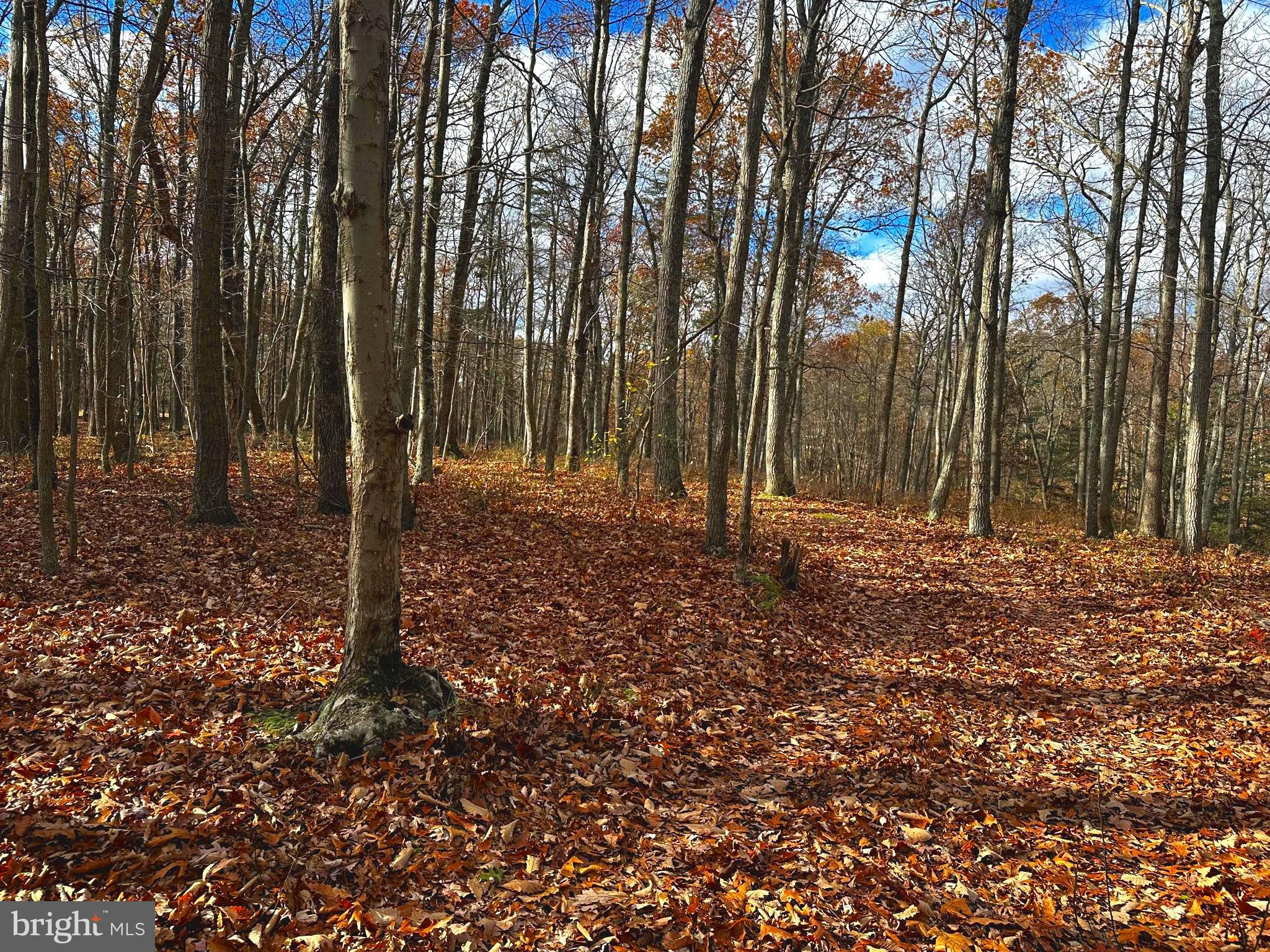 Lot 1 Fishel Road Winchester, VA 22602 - Photo 6 of 8
