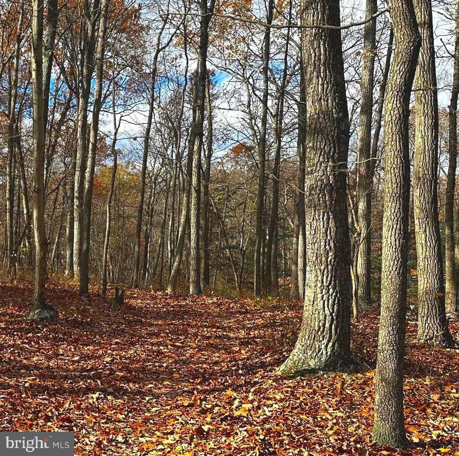 Lot 1 Fishel Road Winchester, VA 22602 - Photo 8 of 8