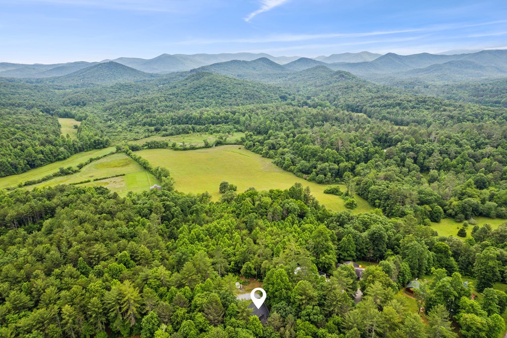 324 John's Ridge Road Blue Ridge, GA 30513 - Photo 44 of 74