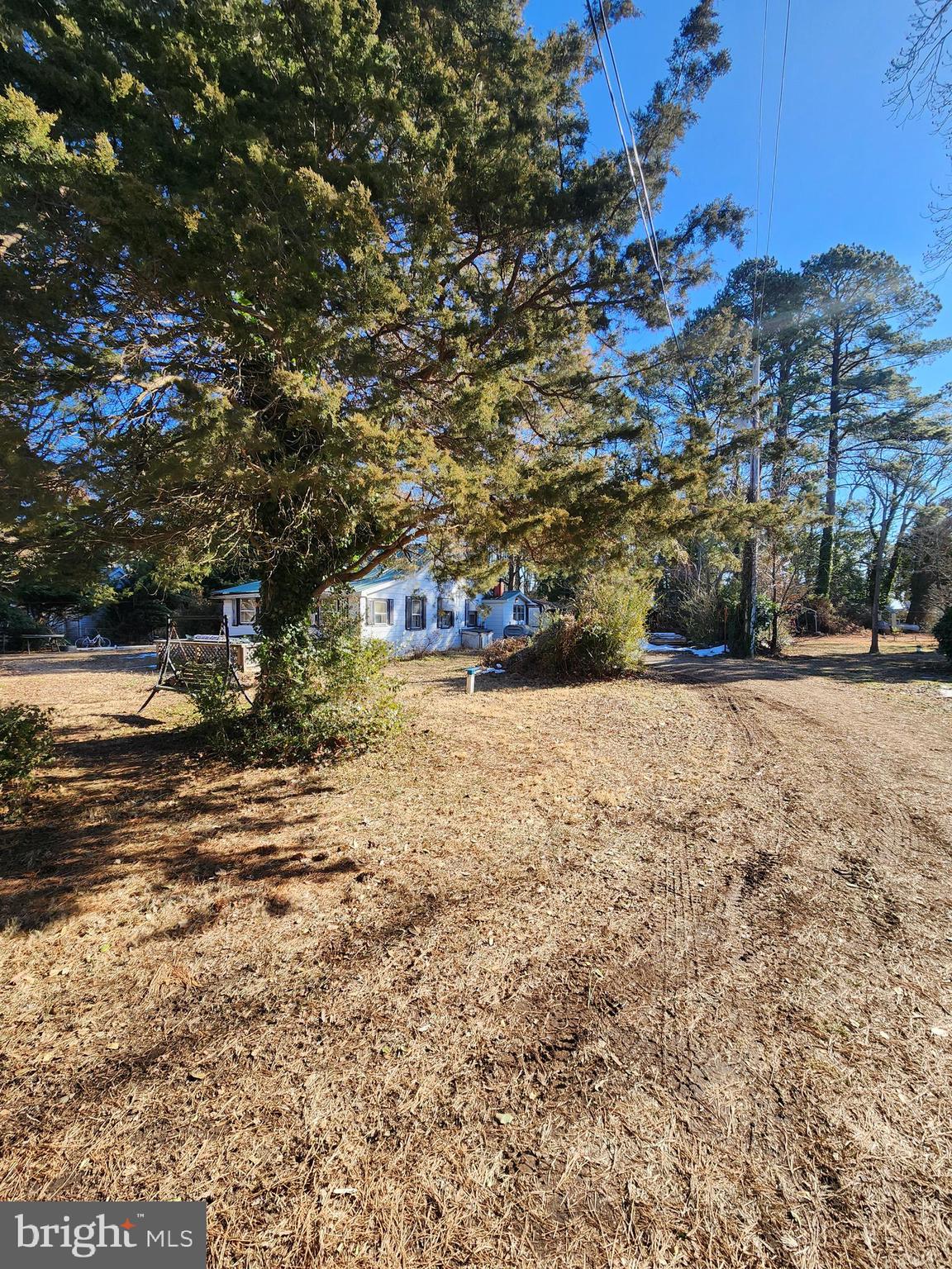20248 Breezy Point Road Coltons Point, MD 20626 - Photo 3 of 36 a view of street with houses