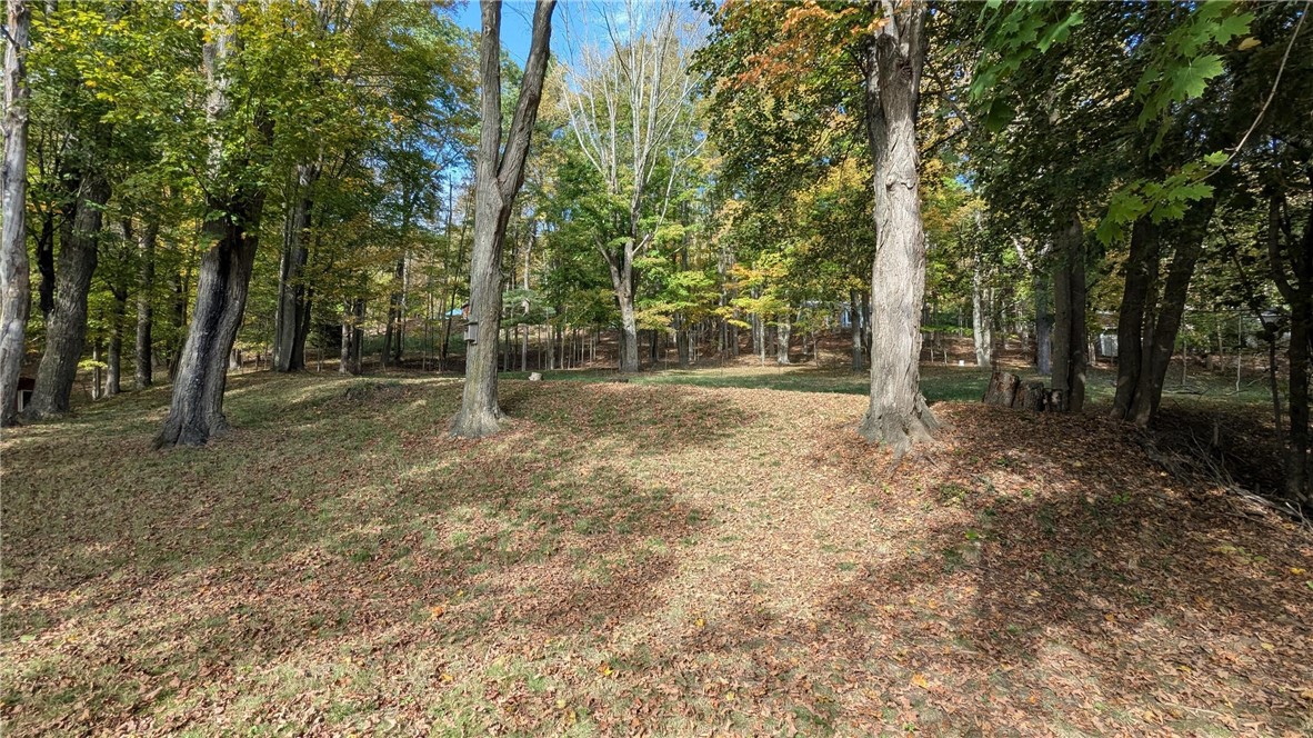 435 Main Street Oneonta, NY 13820 - Photo 28 of 38 Property gives all the county enjoyment right out