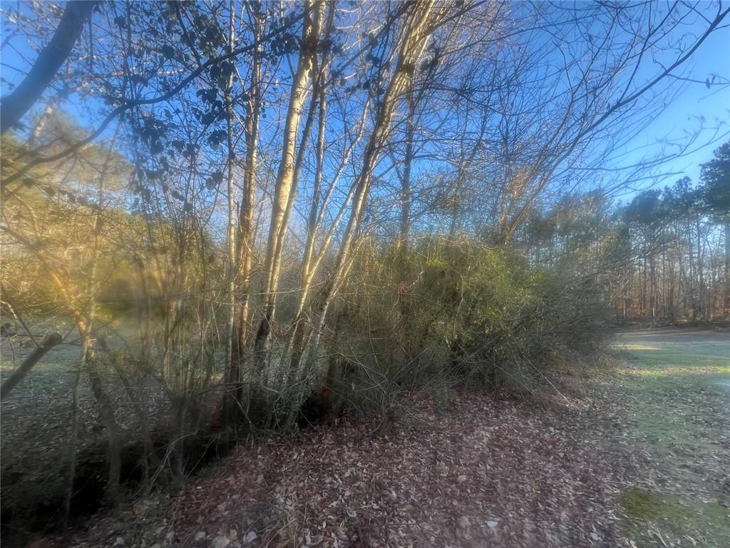 587 East Johnson Street Temple, GA 30179 - Photo 3 of 4