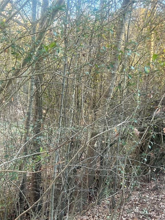 587 East Johnson Street Temple, GA 30179 - Photo 4 of 4