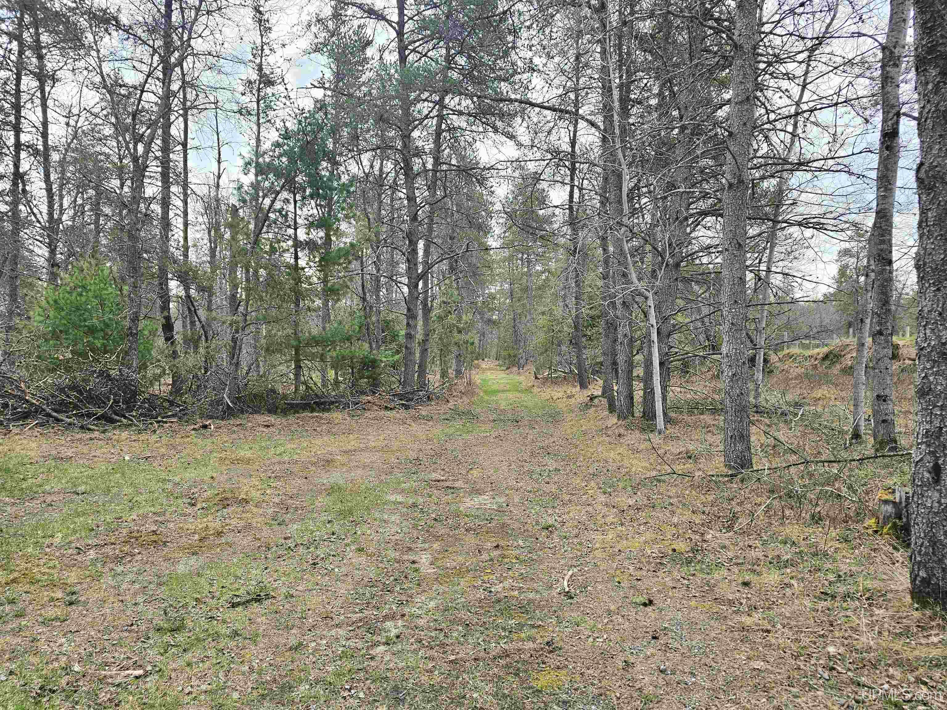 1301 South Old Cooks Cemetary Road Manistique, MI 49854 - Photo 24 of 31 Gallery Image 24