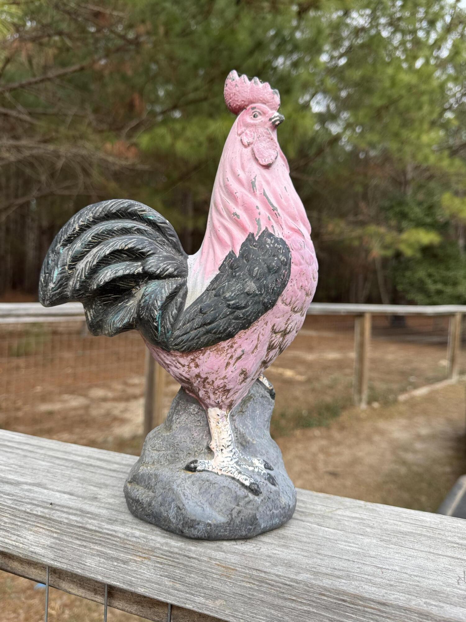 6797 M W Rickenbaker Road Summerton, SC 29148 - Photo 39 of 49 IMG_8276