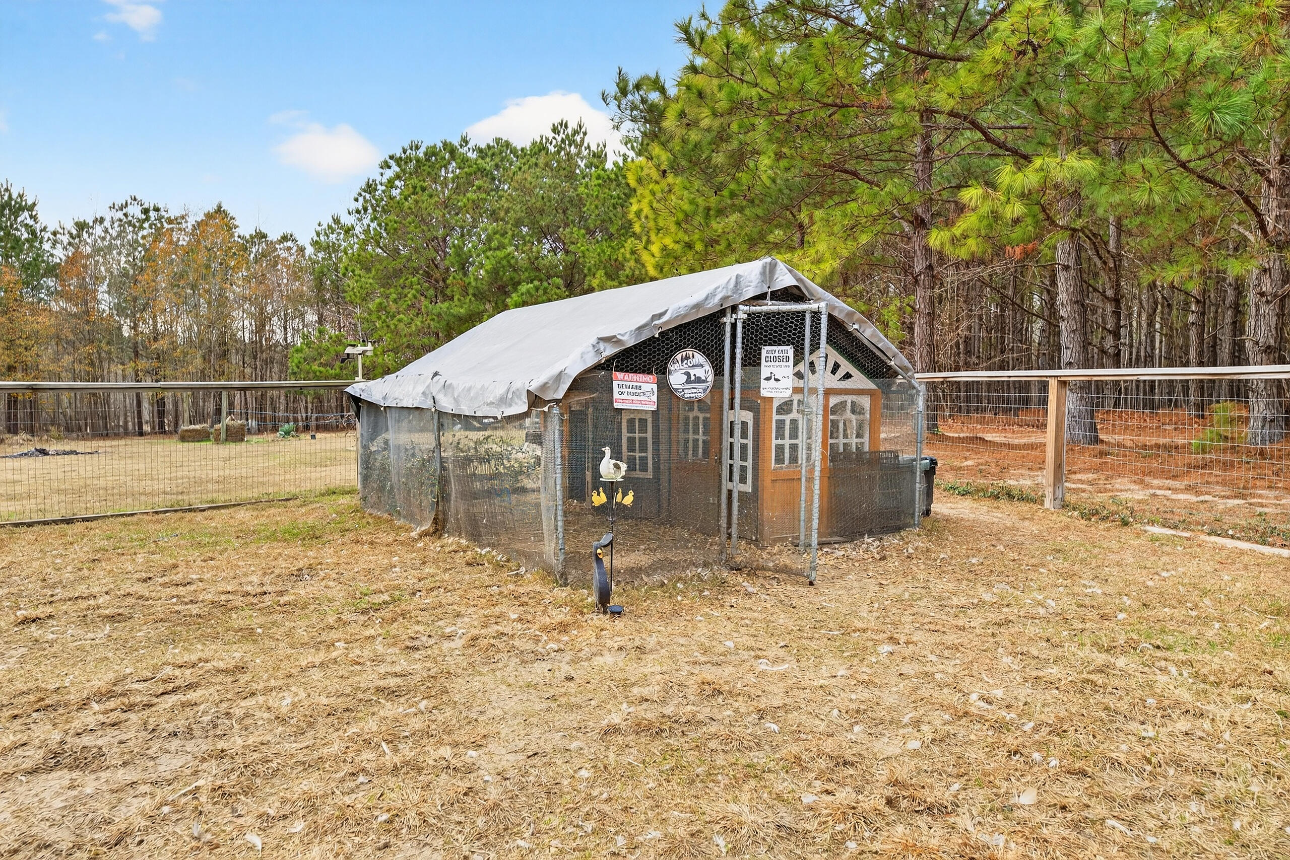 6797 M W Rickenbaker Road Summerton, SC 29148 - Photo 40 of 49 IMG_2893