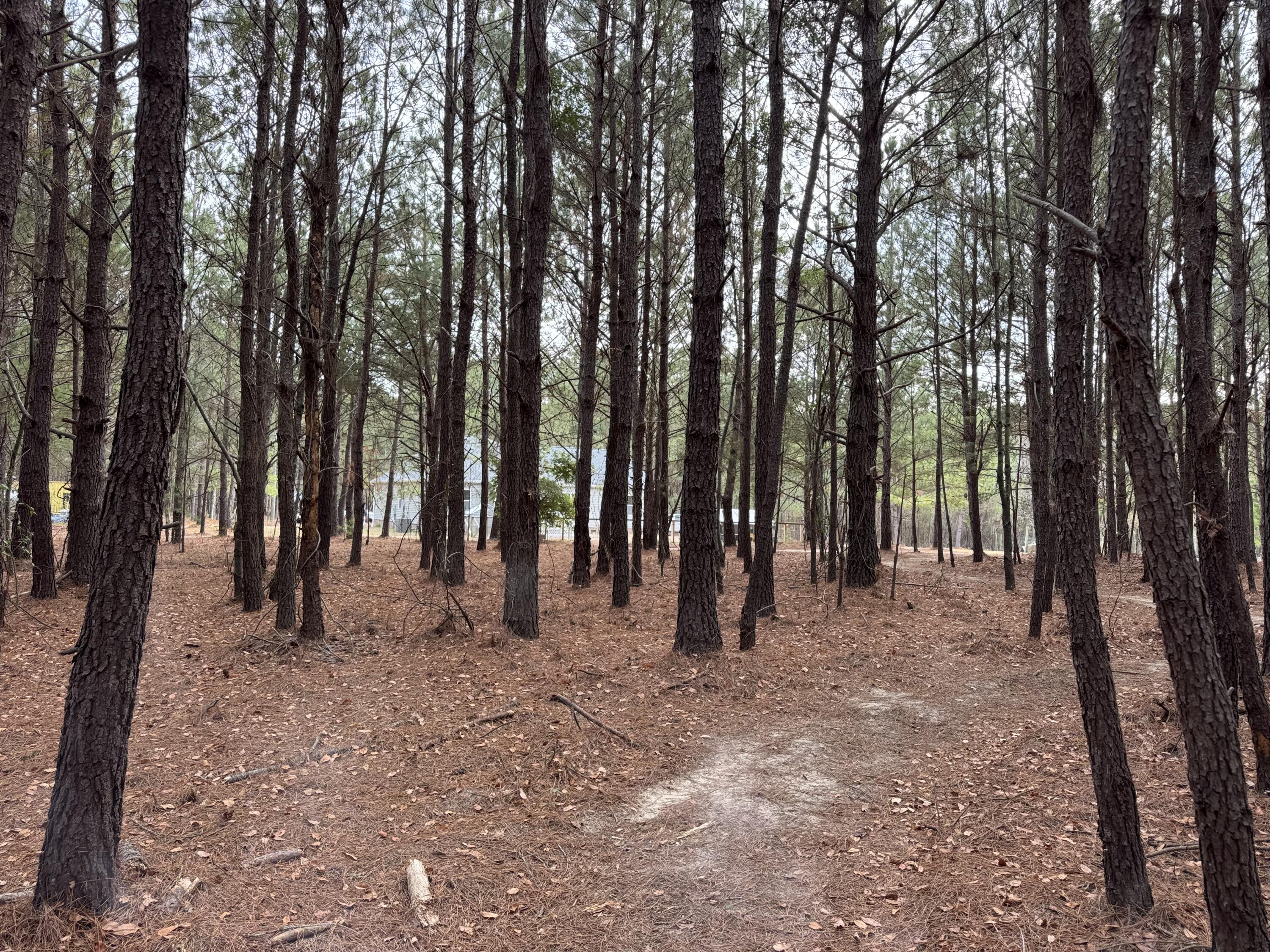 6797 M W Rickenbaker Road Summerton, SC 29148 - Photo 45 of 49 IMG_8274