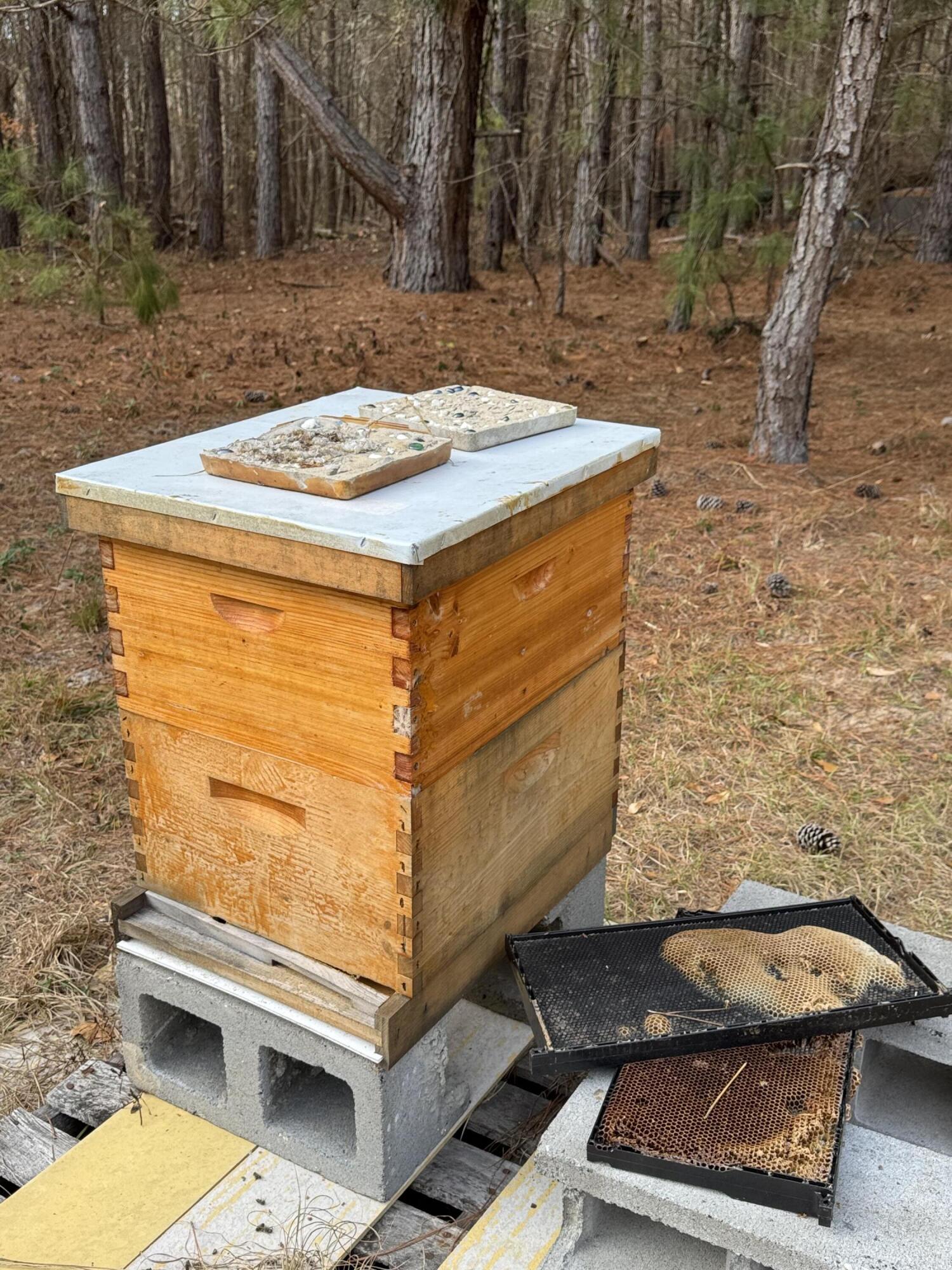 6797 M W Rickenbaker Road Summerton, SC 29148 - Photo 47 of 49 IMG_8271