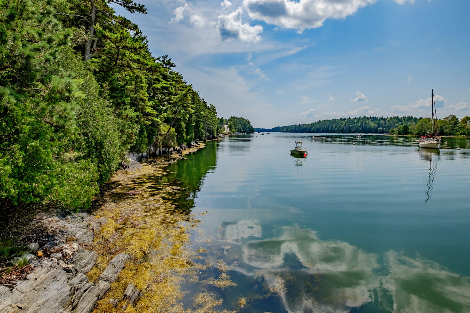 103 Reach Road Harpswell, ME 04079 - Photo 45 of 47 20190801gp-63099