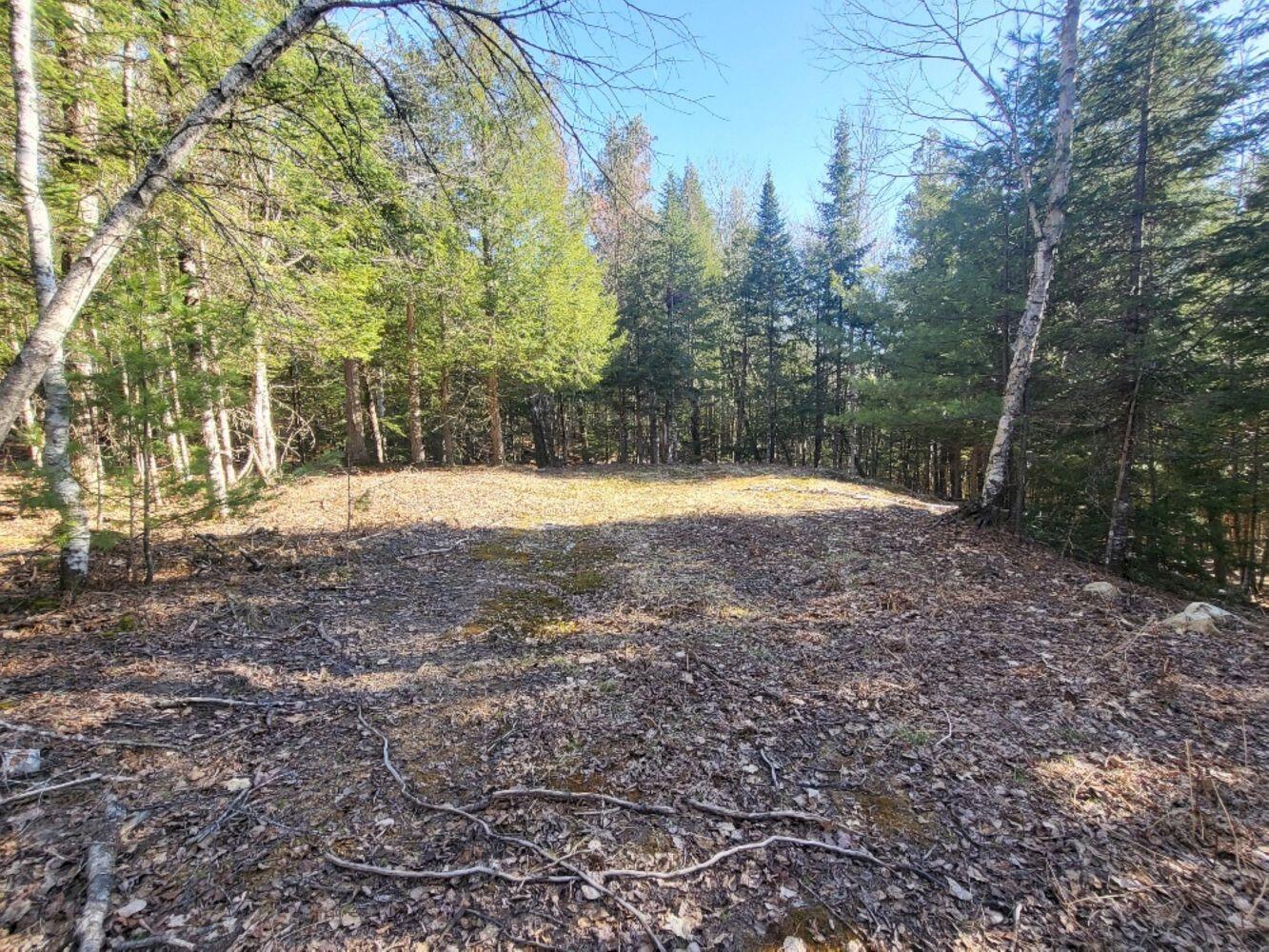 Lot 19 L15-3 Coburn Road Carthage, ME 04224 - Photo 5 of 14 20240422_170210_resized_result