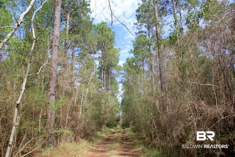 0 County Road 49 Loxley, AL 36551 - Photo 12 of 33