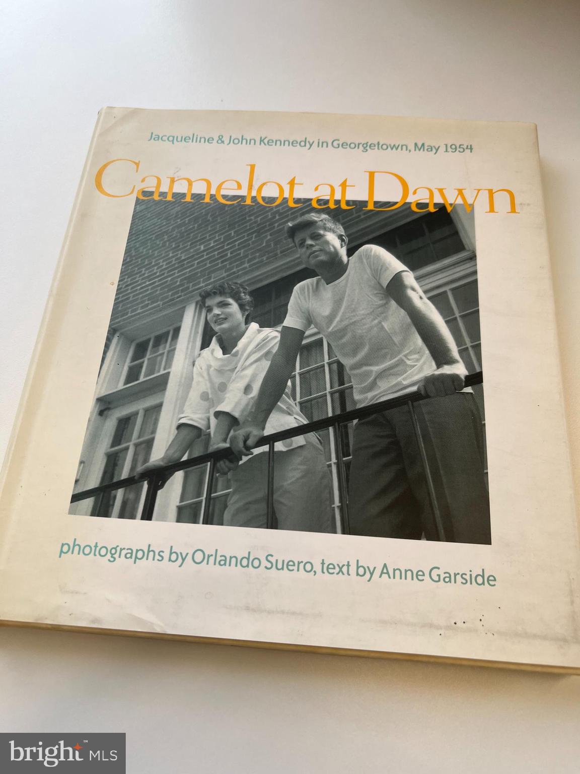3321 Dent Place Northwest Washington, DC 20007 - Photo 43 of 48 Camelot at Dawn - all photographed in 3321 Dent Pl