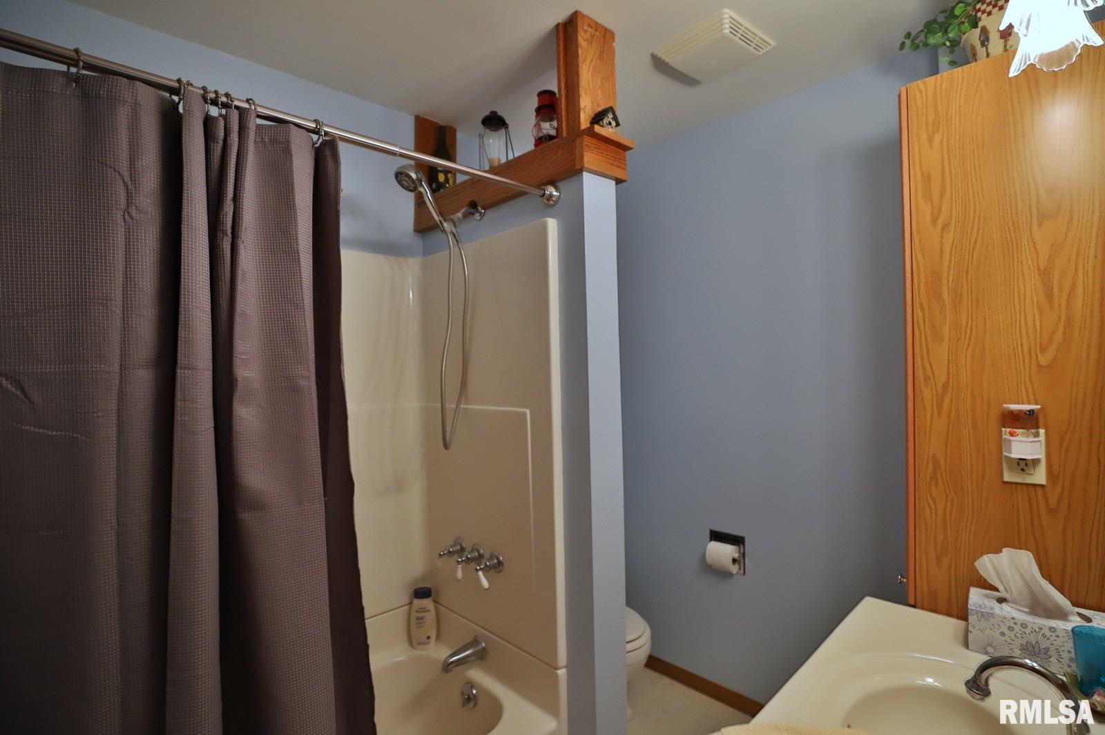 221 West Hallock Hollow Road Edelstein, IL 61526 - Photo 29 of 50 Gallery Image 29