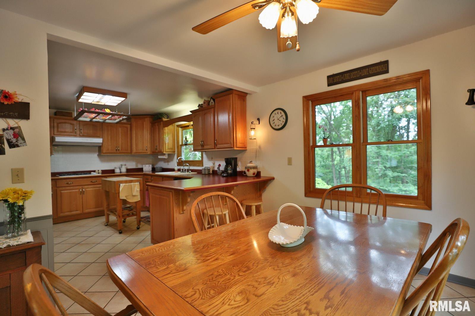 221 West Hallock Hollow Road Edelstein, IL 61526 - Photo 8 of 50 Gallery Image 8