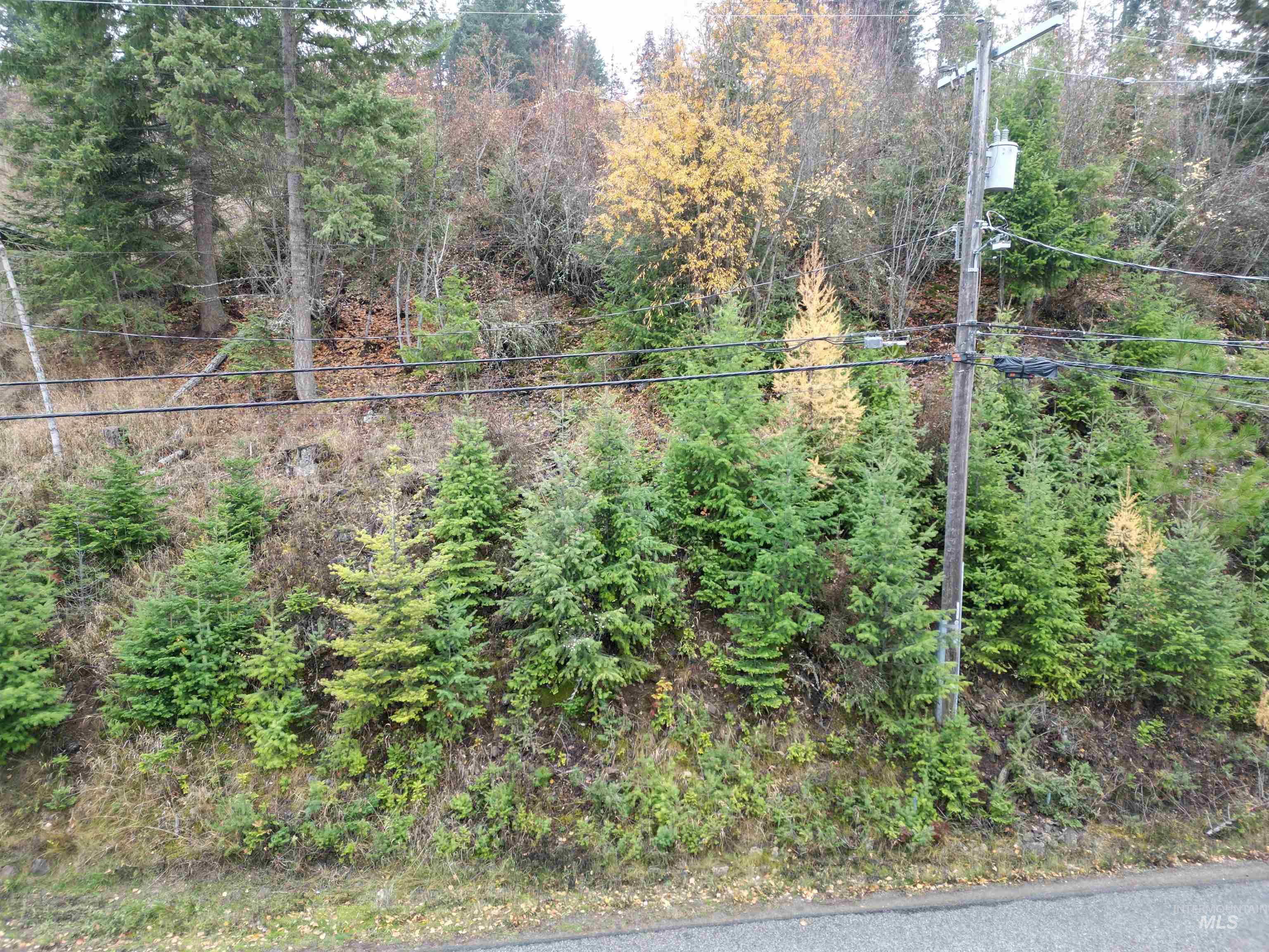 Nka East Upper Hayden Lake Road Hayden, ID 83835 - Photo 2 of 14 View of yard featuring a forest view
