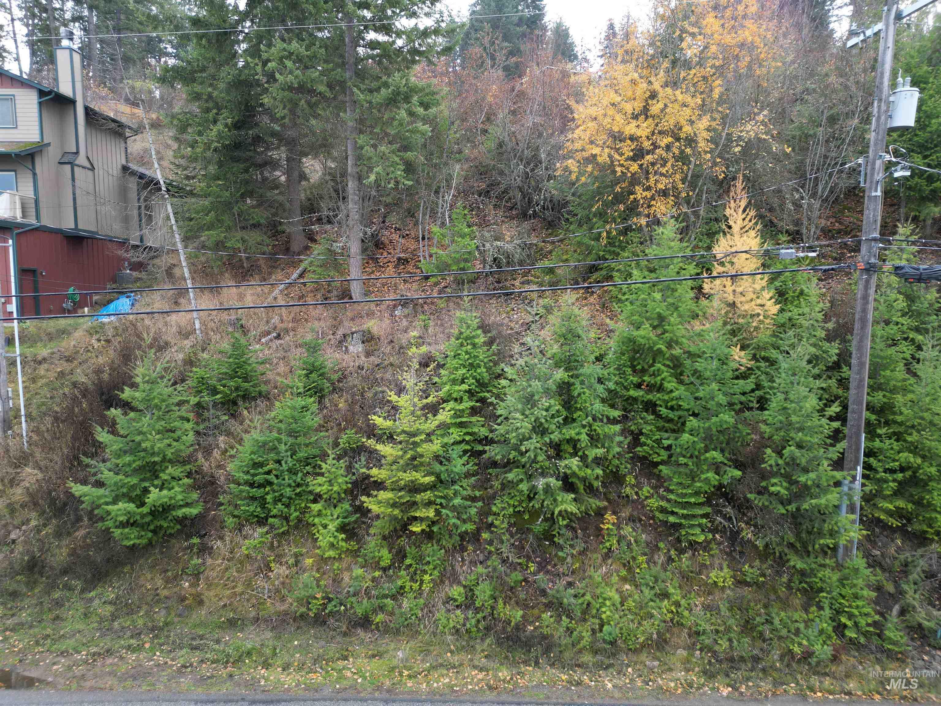 Nka East Upper Hayden Lake Road Hayden, ID 83835 - Photo 3 of 14 View of yard