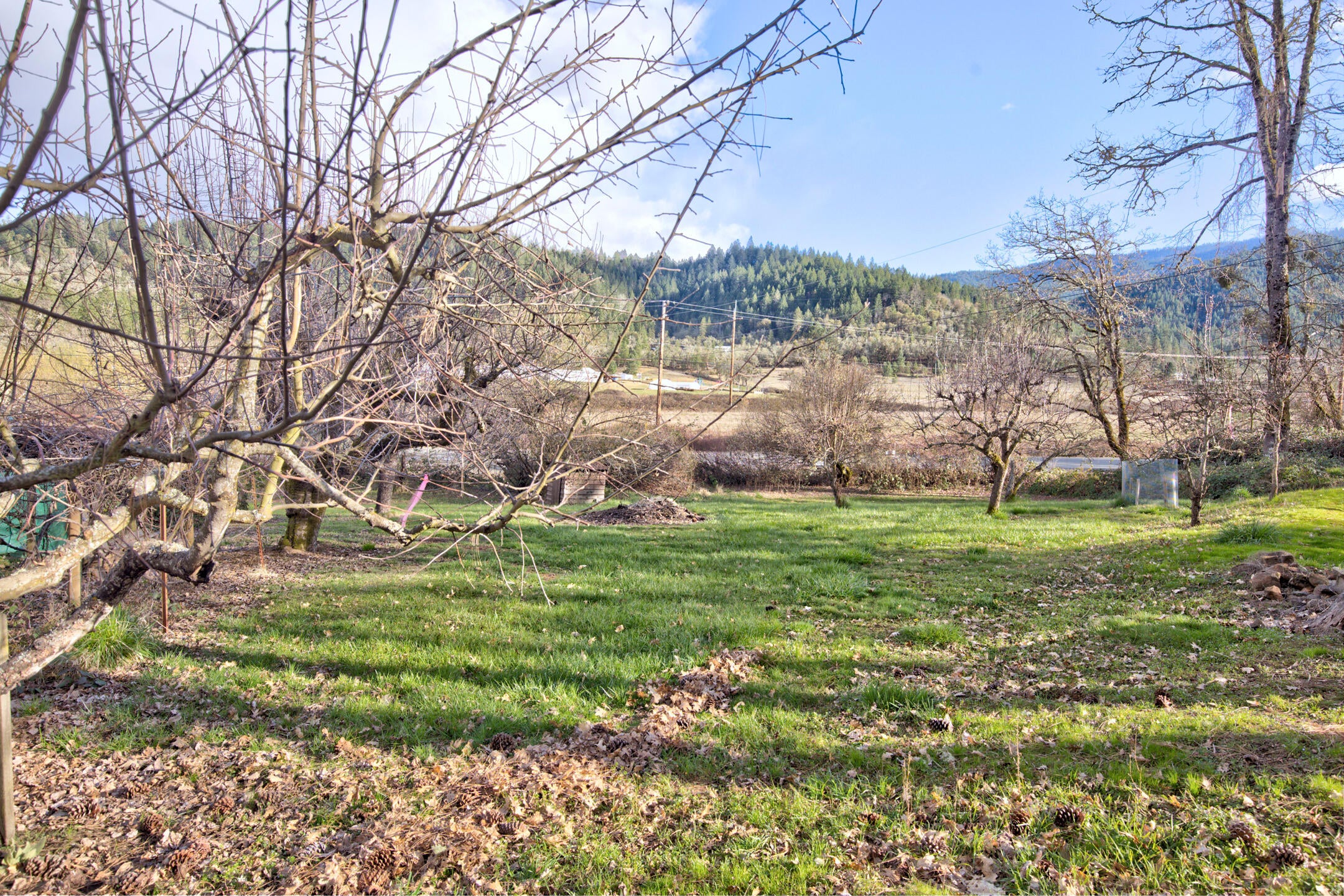 334 Murphy Creek Road Grants Pass, OR 97527 - Photo 43 of 51 murphycr047