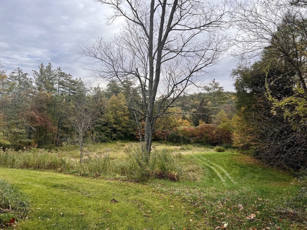 42 Shelburne Line Road Colrain, MA 01340 - Photo 26 of 41 a view of yard with green space