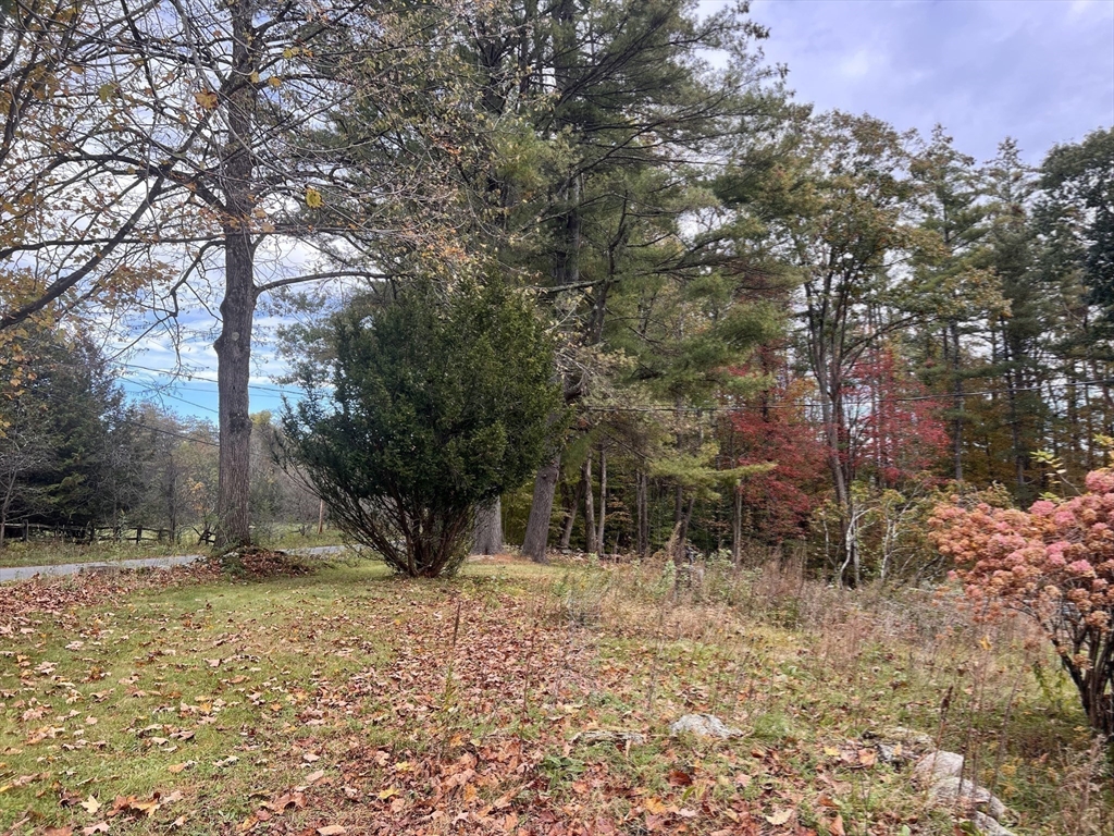 42 Shelburne Line Road Colrain, MA 01340 - Photo 37 of 41 a backyard of a house with lots of green space