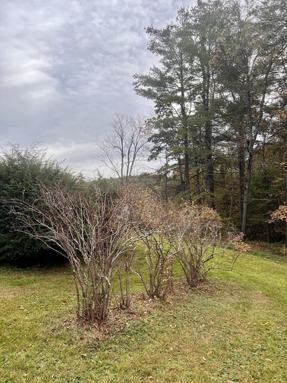 42 Shelburne Line Road Colrain, MA 01340 - Photo 38 of 41 a view of a yard with an outdoor space