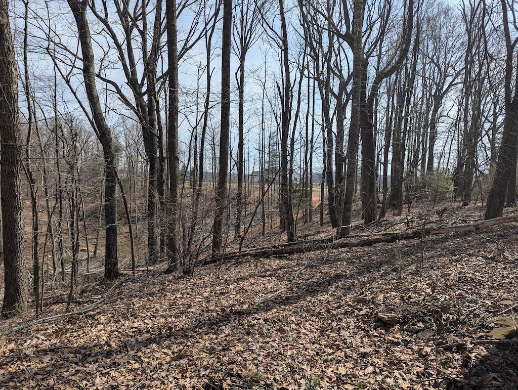 1704 Coles Knob Road Northeast Pilot, VA 24138 - Photo 5 of 10 a view of a backyard of the house