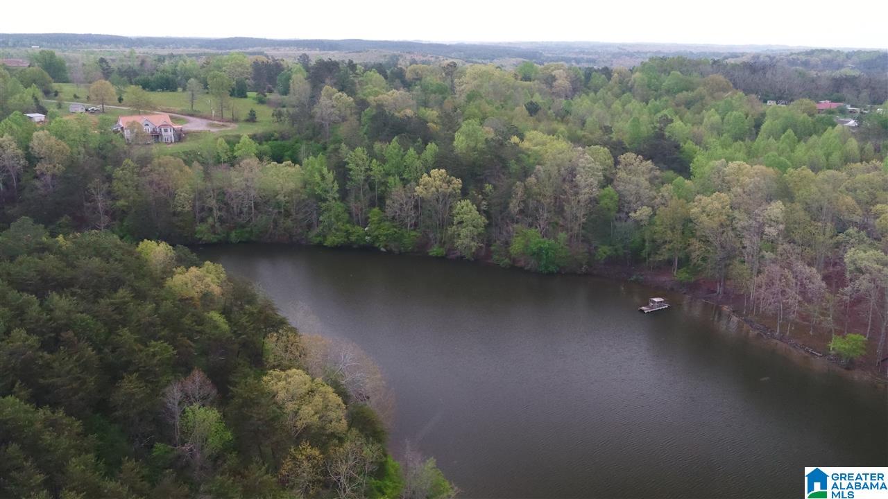 0 Dime Road, Unit 1 20 Haleyville, AL 35565 - Photo 5 of 14
