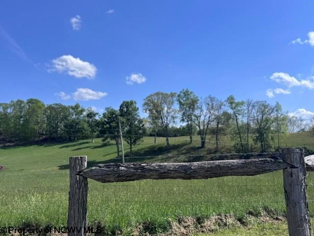 Tbd Shaffers Run Road Mill Creek, WV 26280 - Photo 41 of 43 Gallery Image 41