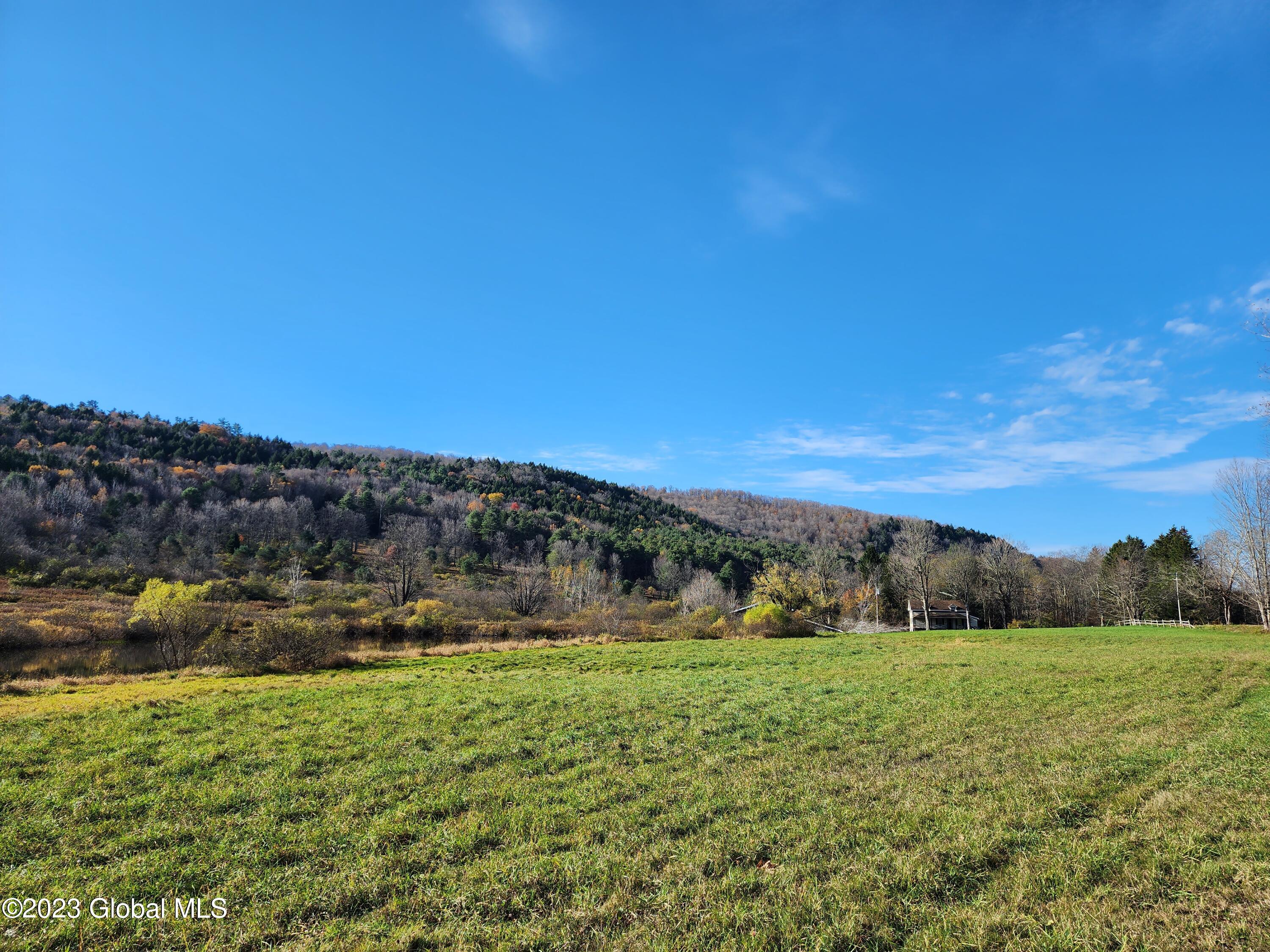 104 Willow Springs Rd Summit Charlotteville, NY 12036 - Photo 13 of 18 20231025_101003